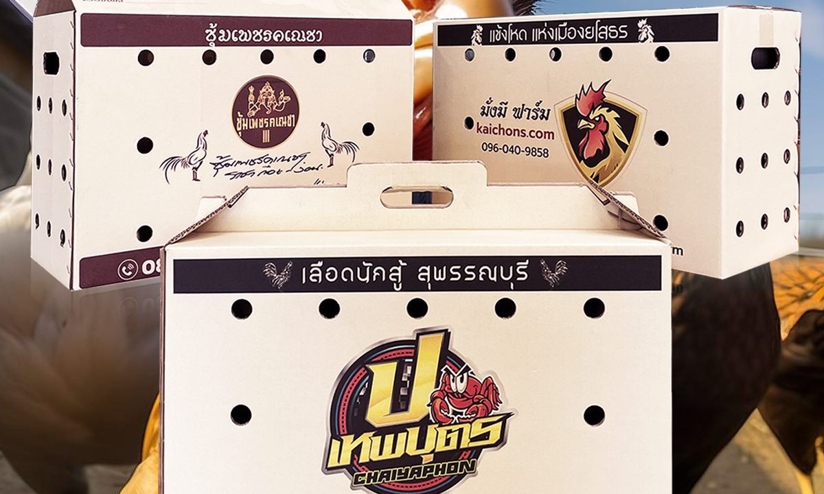 กระแสใหม่ของวงการไก่ชน กล่องใส่ไก่ดีไซน์ล้ำ คุณภาพครบ ราคาคุ้มสุดในตลาด!